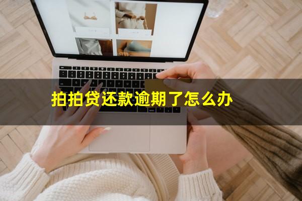 拍拍贷还款逾期了怎么办?拍拍贷逾期会怎么样?逾期后果严重吗?