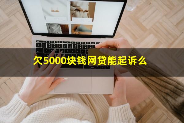 欠5000块钱网贷能起诉么