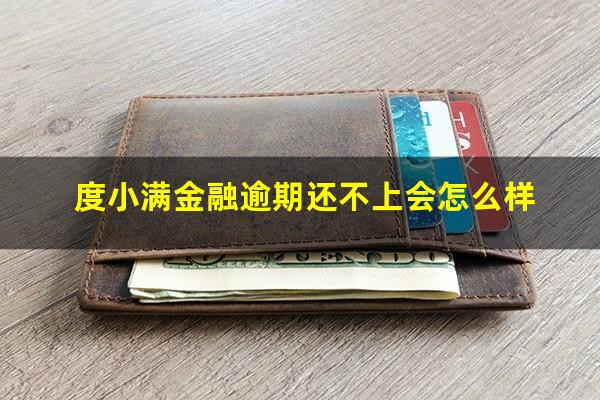 度小满金融逾期还不上会怎么样?度小满金融贷款还不上会起诉吗