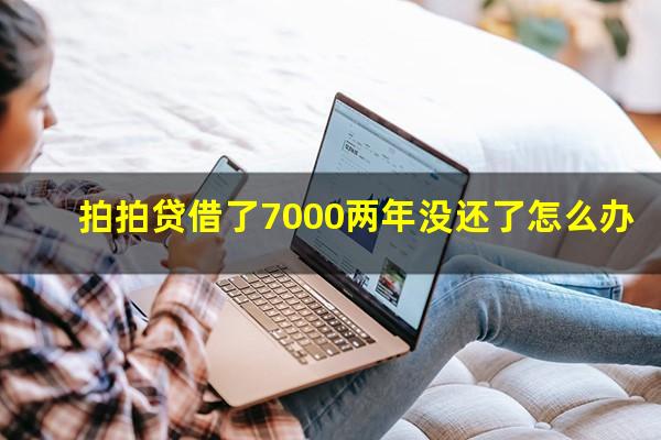 拍拍贷借了7000两年没还了怎么办