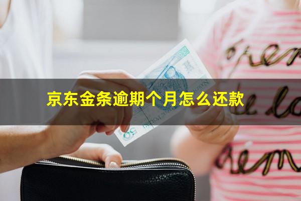 京东金条逾期个月怎么还款