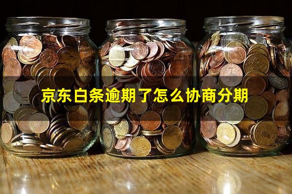 京东白条逾期了怎么协商分期?京东白条逾期了怎么协商分期还款