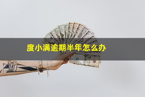 度小满逾期半年怎么办?度小满逾期后