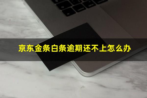 京东金条白条逾期还不上怎么办