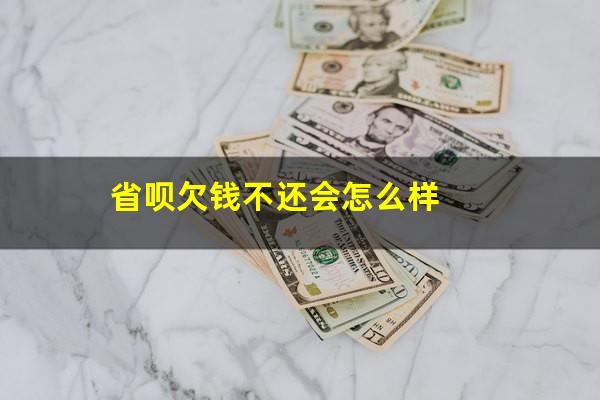 省呗欠钱不还会怎么样?省呗借款不还会有什么后果