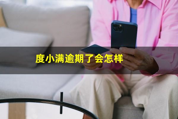 度小满逾期了会怎样