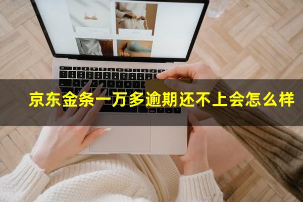 京东金条一万多逾期还不上会怎么样