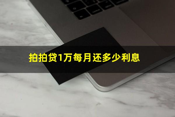 拍拍贷1万每月还多少利息?拍拍贷一万元一个月还利息多少