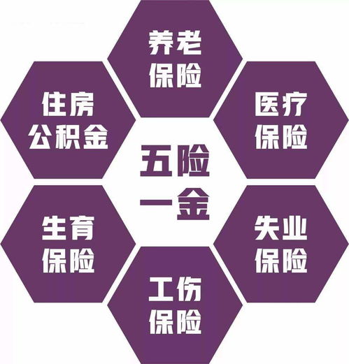 社保制度新增一项,常规的五险变六险,这类老人有福了