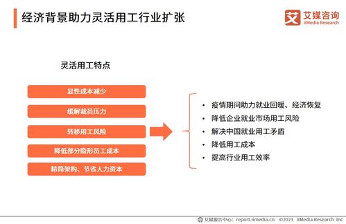 艾媒咨询 2023上半年中国灵活用工专题研究报告