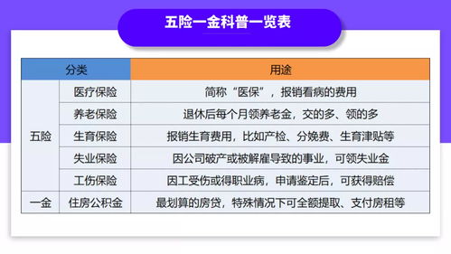 没有工作单位,社保怎么交最划算 2023年最新灵活就业者参保指南