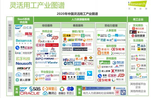 学习资料 中国灵活用工市场发展研究报告 