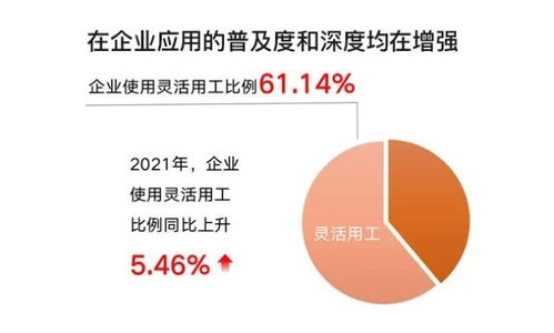 贤牛人力云 助力企业灵活用工轻装上阵 