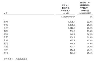 国内最大灵活用工服务商赴港上市,创始人为前华为人力资源副总裁