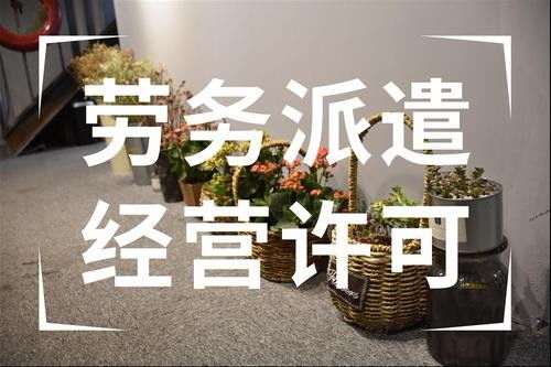 中山阜沙劳务派遣公司携手共进 合作共赢 鼎盛人力