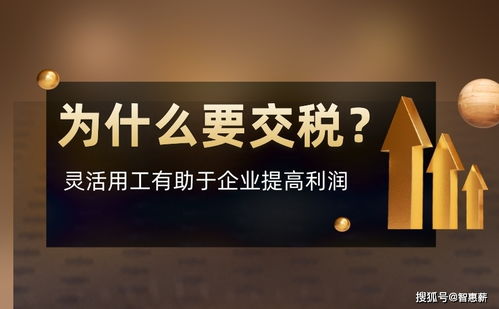 企业为什么要交税 为什么要做灵活用工纳税筹划