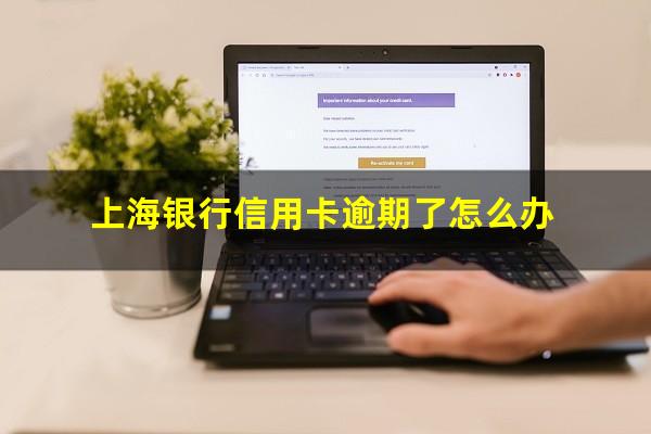 上海银行信用卡逾期了怎么办