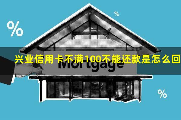 兴业信用卡不满100不能还款是怎么回事