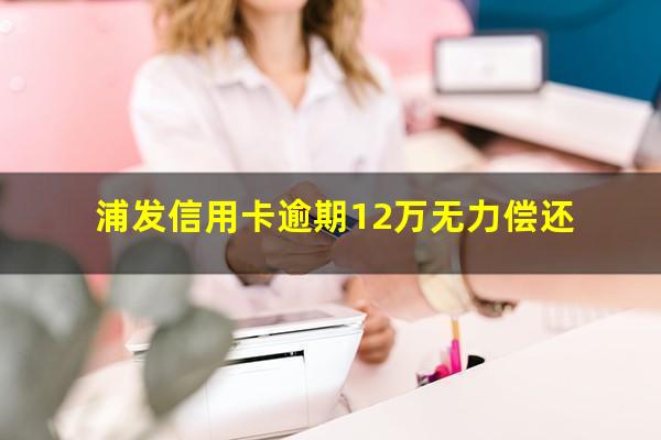 浦发信用卡逾期12万无力偿还