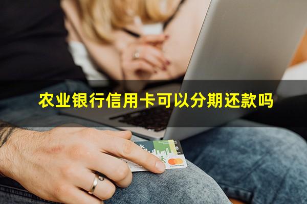 农业银行信用卡可以分期还款吗