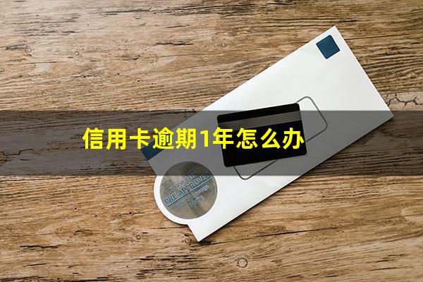 信用卡逾期1年怎么办?信用卡逾期1年怎么办理