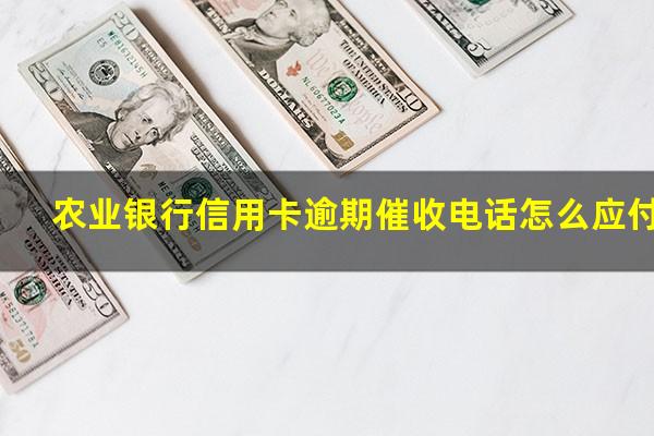 农业银行信用卡逾期催收电话怎么应付