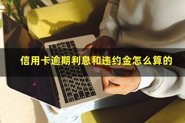 信用卡逾期利息和违约金怎么算的?2023年信用卡逾期违约金怎么算