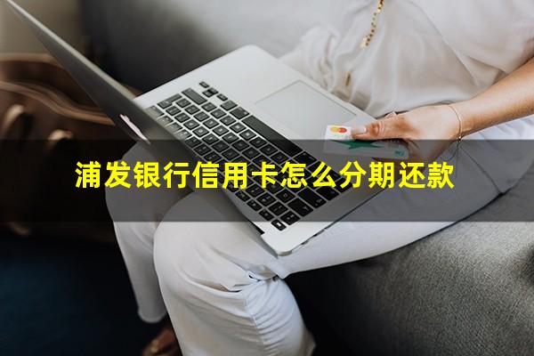 浦发银行信用卡怎么分期还款