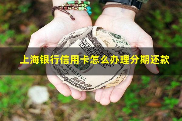 上海银行信用卡怎么办理分期还款?上海银行 分期卡