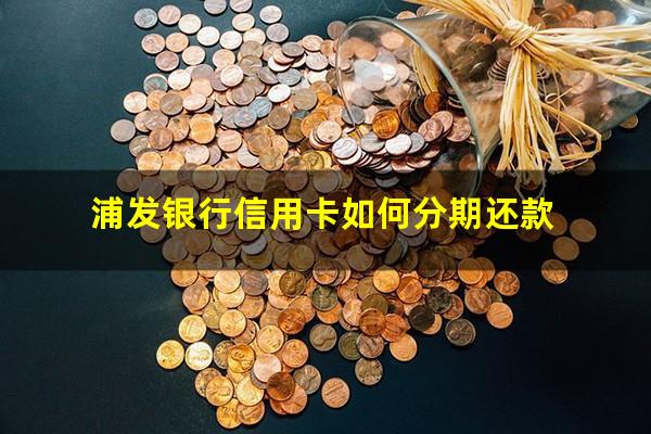 浦发银行信用卡如何分期还款