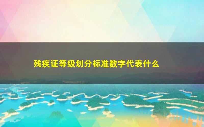 残疾证等级划分标准数字代表什么