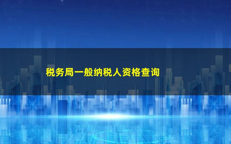 税务局一般纳税人资格查询